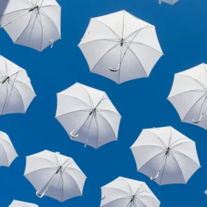 Investment Advisor in Chicago